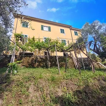 La Cascina Tra Gli Ulivi 斯培西亚