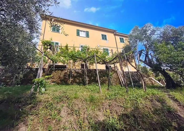 La Cascina Tra Gli Ulivi La Spezia